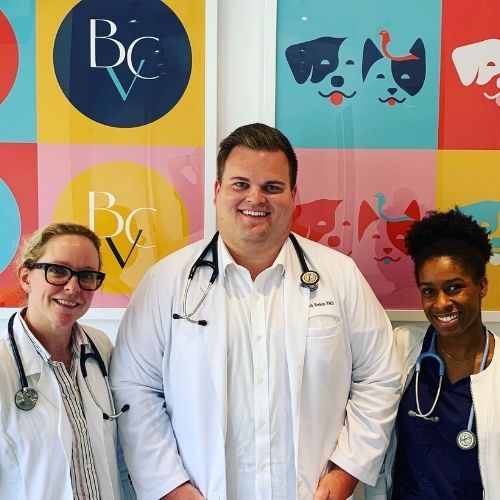 doctors